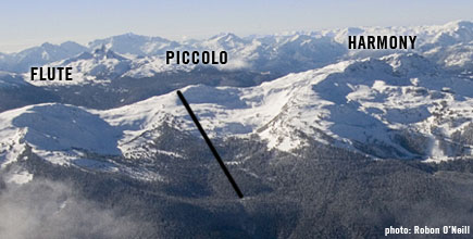 NEW! The Piccolo Express