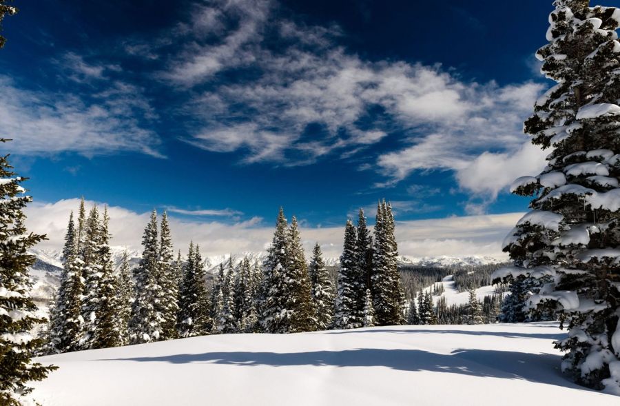 Vail Resorts Reports Third Quarter Fiscal 2026 Results