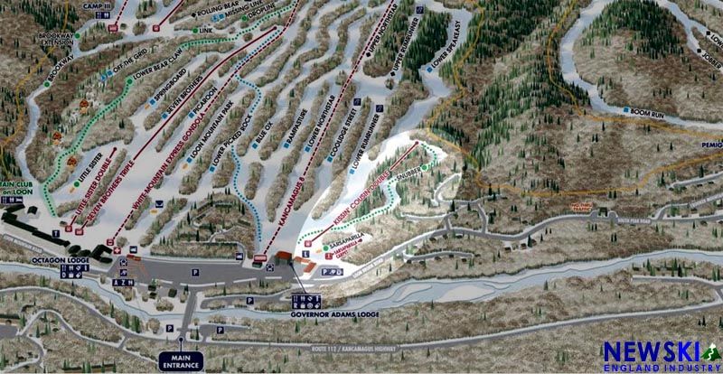 Loon Planning to Install Mountain Coaster
