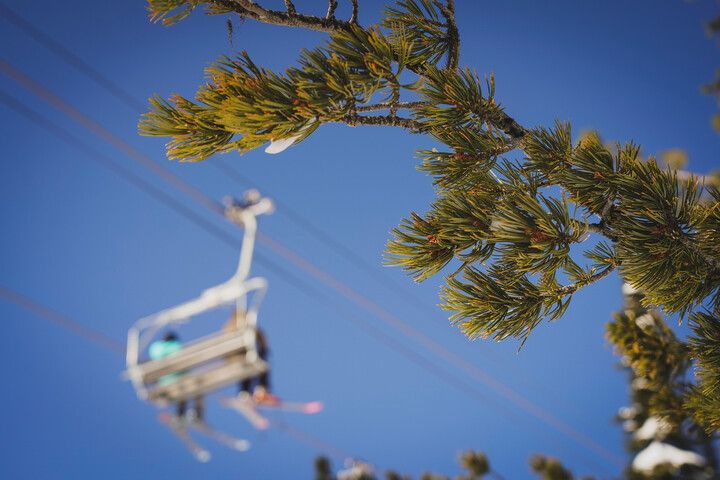 Whitefish Mountain Resort recertified as Whitebark Pine Friendly Ski Area