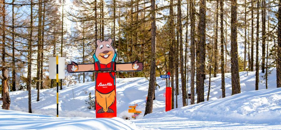 Sunkid: Interactive "toboggan run" from Sunkid in the Upper Valais (Switzerland)