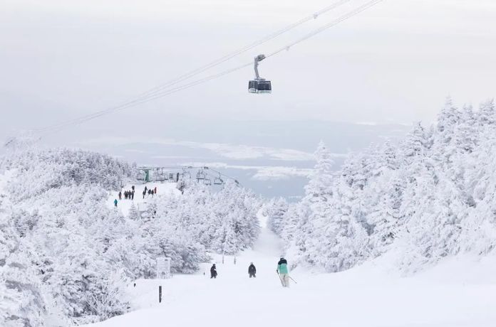 Pacific Group Resorts: Mission Affordable